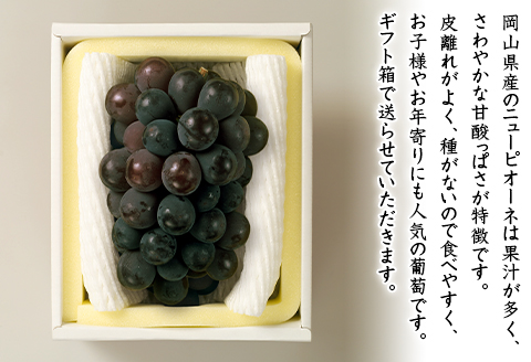 74-11 ニューピオーネ1房（600g以上）【2026年8月下旬～9月下旬頃発送予定】