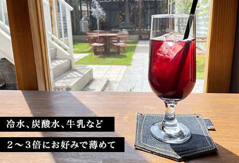 星の果実酢２本セット（シャインマスカット晴王・ピオーネ）