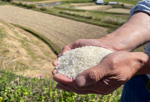 井原市美星町産コシヒカリ【精米】星の郷 美山米 ２kg