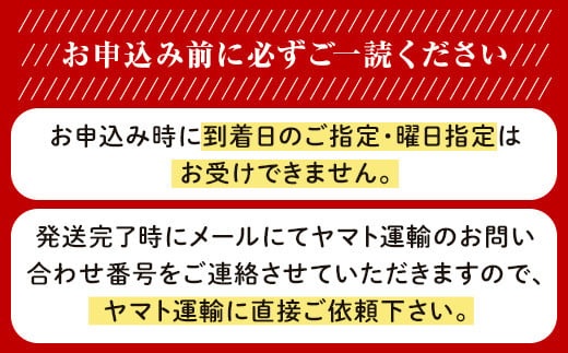新高梨 3～6玉（約4kg）化粧箱入り【2026年9月下旬～11月上旬発送予定】