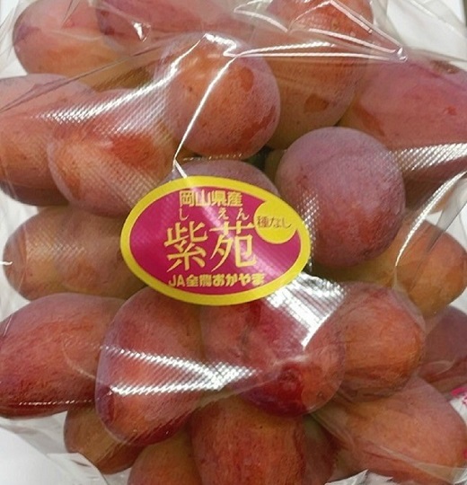 紫苑 1房(700ｇ以上) 化粧箱入り【2026年10月下旬～11月下旬発送予定】