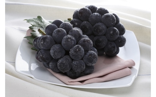 岡山県産 種無し ピオーネ2房（約1.2kg）【2026年8月下旬～9月中旬発送予定】（いばら愛菜館）