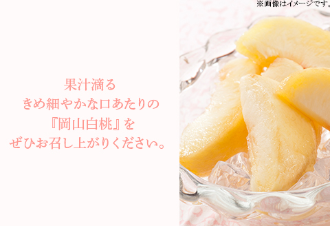 岡山県産 白桃ロイヤル6玉（1玉330ｇ以上）木箱入り【2026年7月上旬～8月中旬発送予定】