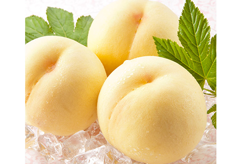 詰合せ 白桃2玉(1玉220g以上)・ニューピオーネ1房(480g以上)・シャインマスカット「晴王」１房(480g以上) 化粧箱入り【2026年7月下旬～8月中旬発送予定】