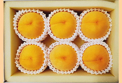 岡山県産 桃食べ比べ全2回【2026年産】