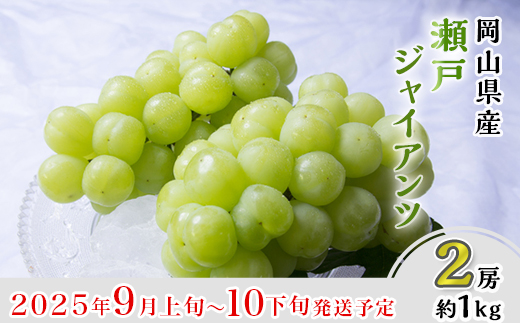 フルーツ 定期便 先行予約 桃 ぶどう 梨 3回（清水白桃・瀬戸ジャイアンツ・あたご梨）