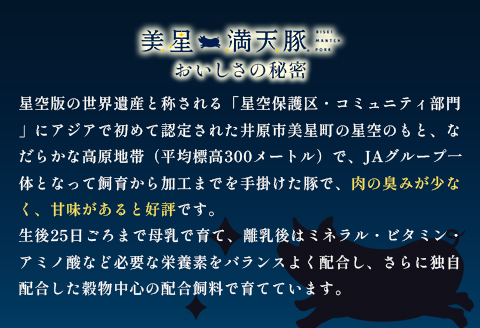 美星満天豚 焼肉 1.0kgセット（豚肩ロース又は豚ロース、豚バラ、豚モモ）小分け真空パック