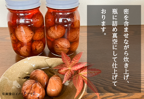 栗の渋皮煮 500g(250g×2瓶)