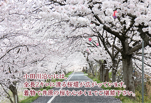 春爛漫！小田川の桜堤を着物で散策(着物レンタル券) 1名様