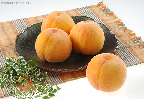 【ご家庭用】おかやまの「黄金桃」約1.3kg（5～6玉）【26年8月下旬以降に順次発送】