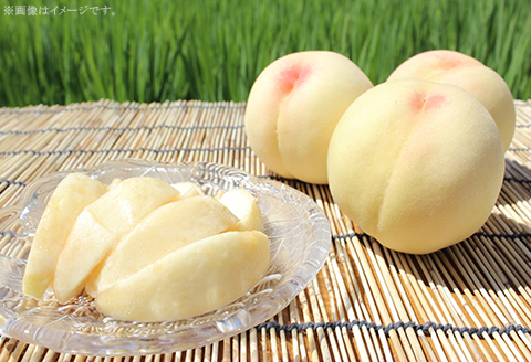 【ご家庭用】おかやまの桃 約1.8kg（7～9玉）【26年7月下旬以降に順次発送】