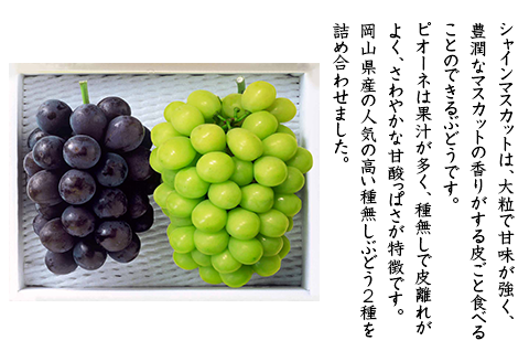 74-18 ぶどう2房（シャイマスカット・ニューピオーネ）計1.2kg以上【2026年9月上旬～10月上旬発送予定】