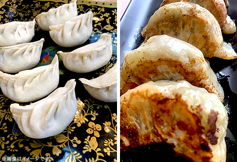 唯一無二の手打ち餃子60個（20個×3パック）餃子1つ約30g！【ぎょうざ楼】