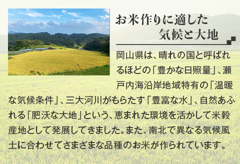 令和7年産【無洗米】岡山県産こしひかり10kg（5kg×2袋）