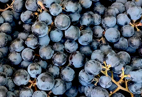 田舎式ワイン「やあ」＆「ぱわ」２本セット