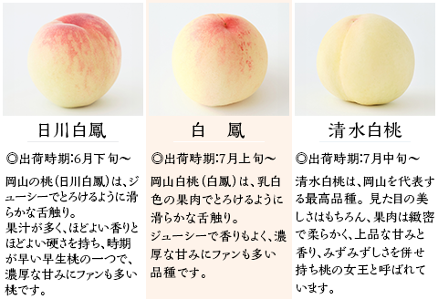 【ご家庭用】岡山県産 黄金桃 5～7玉【2026年8月下旬頃から順次発送】