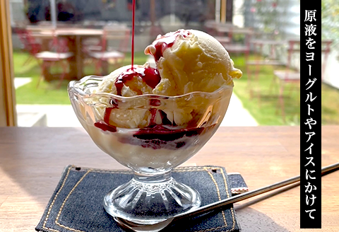 星の果実酢２本セット（シャインマスカット晴王・ピオーネ）