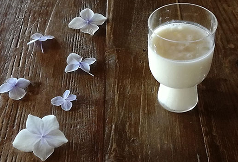 「どぶろくCantabile シュッとキリッと！おとなギフト」生どぶろく2本、井原デニムの蝶ネクタイ（ネイビー）セット