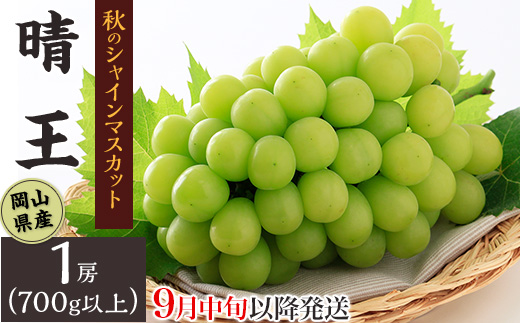 フルーツ 定期便 年3回 2026 先行予約 岡山 晴王 シャインマスカット 黒ぶどう 白桃 旬 果物 岡山県産 ブドウ もも くだもの お楽しみ定期便