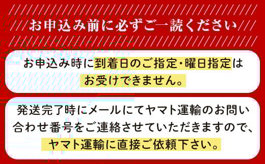 岡山県産いちご「晴苺」秀【2026年2月上旬以降順次発送】