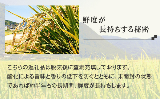 【無洗米】岡山県産こしひかり8kg（2kg×4袋）
