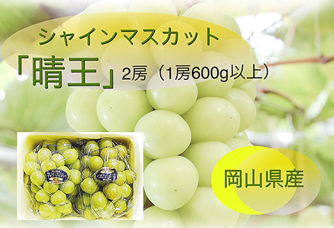 岡山県産 ぶどう定期便 全3回【2026年産】
