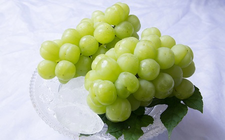 岡山県産 フルーツ定期便 全6回【2026年産】