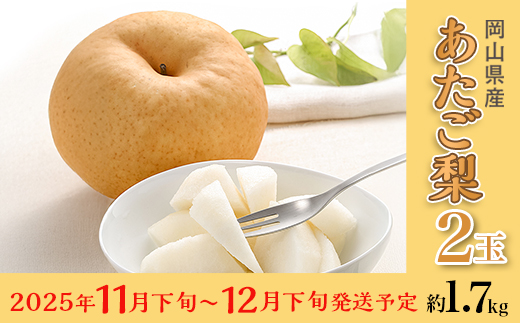 フルーツ 定期便 3回 フルーツ 定期便 先行予約 桃 ぶどう 梨 3回（岡山白桃・ピオーネ・あたご梨）