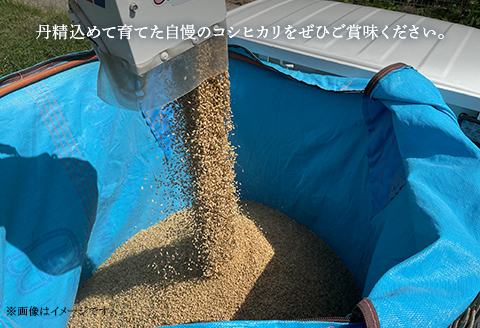 美星町産 コシヒカリ 日の里米 精米10kg（５kg×2袋）