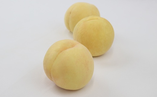 フルーツ 定期便 年2回 2026年 先行予約 岡山 晴王 シャインマスカット 白桃 晩生種 旬 果物 岡山県産 ぶどう もも 定期便