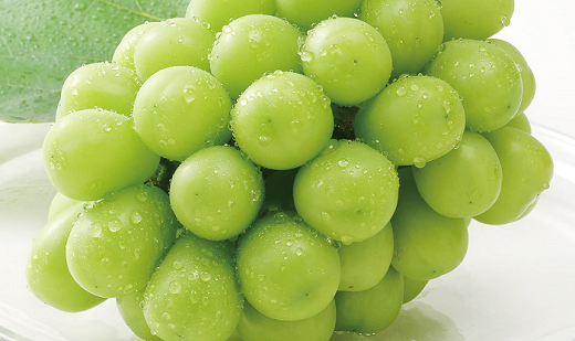 シャインマスカット晴王2房 1.2kg以上（1房600g以上）