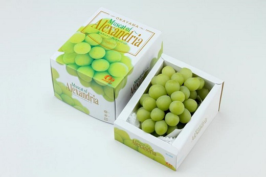 マスカットオブアレキサンドリア 1房(600g以上・秀品以上) 化粧箱入り【2026年7月中旬～8月中旬発送予定】