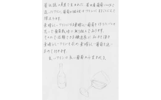 I-08 美星町産ワイン　赤ワイン飲み比べセット（ヴィンテージ）　嘉作