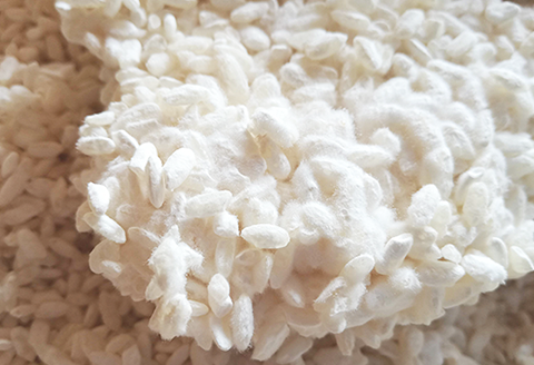 生どぶろく「Cantabile」700ml瓶×2本