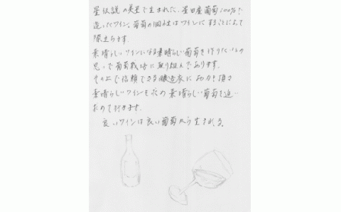 E-17 美星町産ワイン　赤ワイン２本セット　嘉作