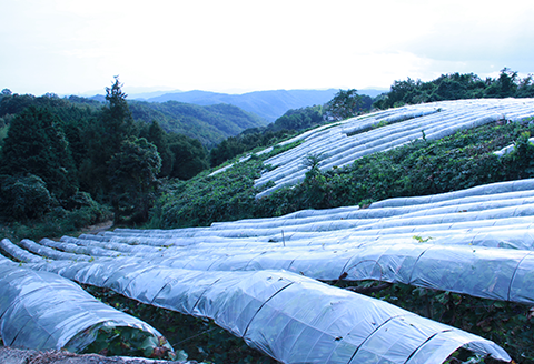 グランポレール岡山マスカットベーリーＡ＜樽熟成＞750ml×2本