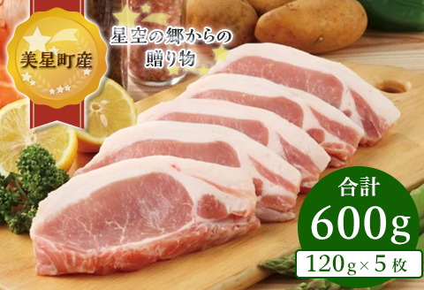A-12ローステキカツ(120g×5枚)【美星町産豚肉】