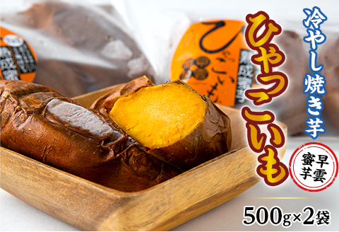 【早雲蜜芋】冷やし焼き芋「ひゃっこいも」500g×2袋