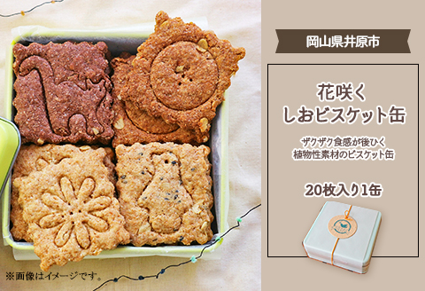 花咲くしおビスケット缶　～ザクザク食感が後ひく植物性素材のビスケット缶～