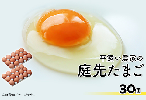 平飼い農家の庭先たまご 30個