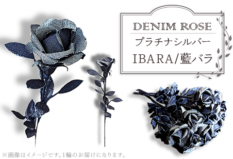 ＤＥＮＩＭ　ＲＯＳＥ - IBARA/藍バラ - プラチナシルバー