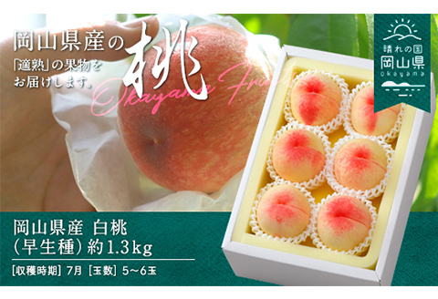 岡山県産「白桃（早生種）」約1.3kg（5～6玉）【26年7月上旬以降に順次発送】