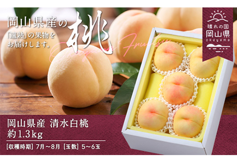 岡山県産「清水白桃」約1.3kg（5～6玉）【26年7月上旬以降に順次発送】