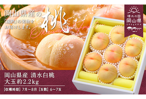 岡山県産「清水白桃」約2.2kg（大玉6～7玉）【26年7月上旬以降に順次発送】