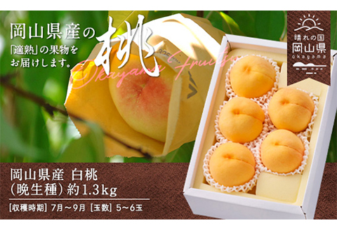 岡山県産「白桃（晩生種）」約1.3kg（5～6玉）【26年8月上旬以降の出荷分】