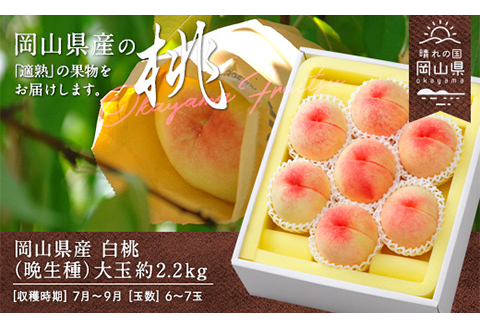岡山県産「白桃（晩生種）」約2.2kg（大玉6～7玉）【26年8月上旬以降の出荷分】