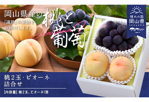 岡山県産「白桃・ニューピオーネ」詰合せ 約1.0kg【26年8月下旬以降の出荷分】