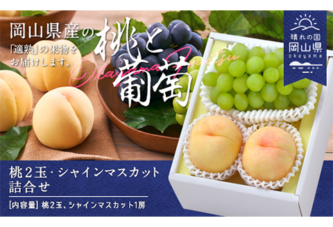 岡山県産「白桃・シャインマスカット」詰合せ 約1.0kg【26年8月下旬以降の出荷分】