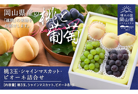 岡山県産「白桃・シャインマスカット・ニューピオーネ」詰合せ 約1.8kg【26年8月下旬以降の出荷分】