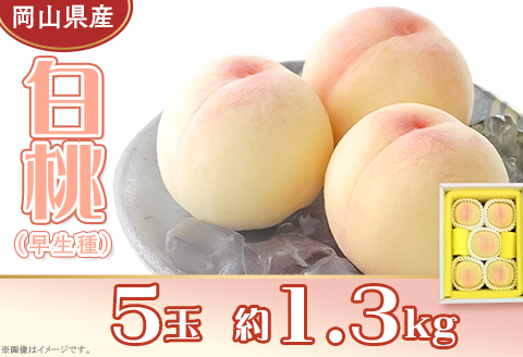 岡山県産 白桃5玉（約1.3kg）【26年7月上旬以降に順次発送】